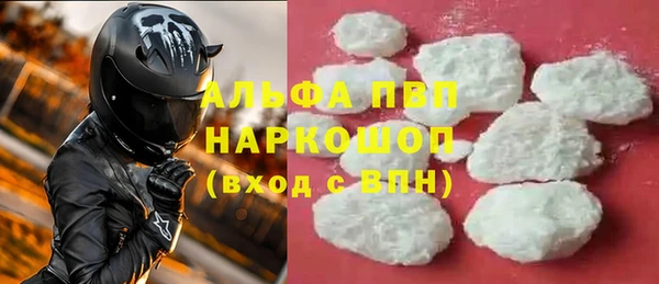 PSILOCYBIN Заводоуковск