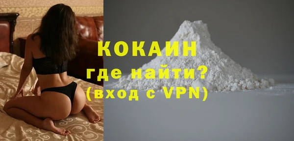 PSILOCYBIN Заводоуковск