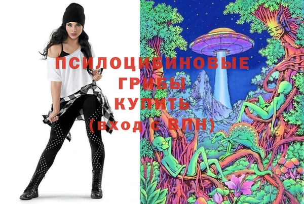 PSILOCYBIN Заводоуковск