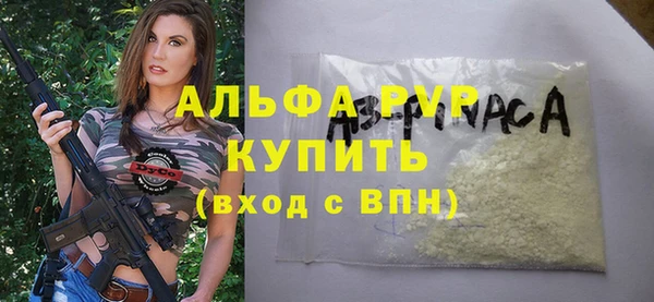 PSILOCYBIN Заводоуковск
