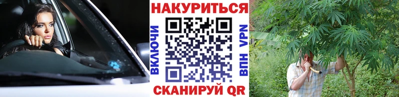 Каннабис OG Kush  Купить закладки  Лобня 